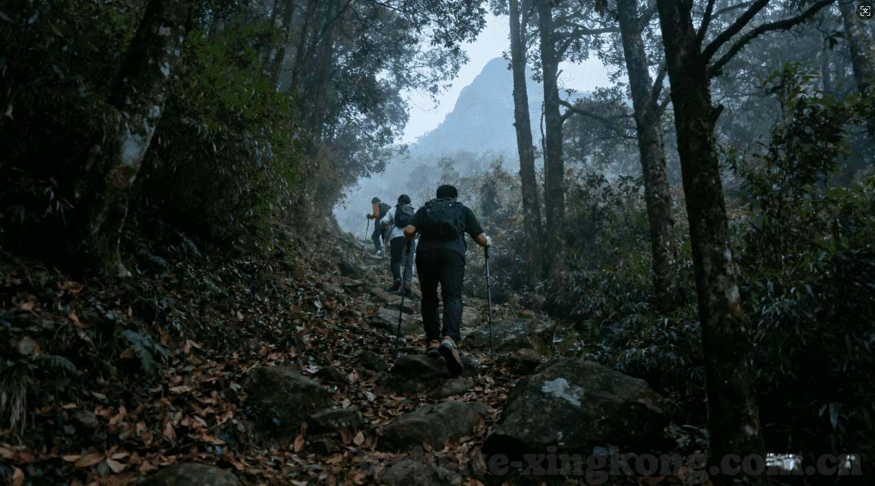 世界杯中国视频直播-世界杯中国视频直播，激情与技术的碰撞